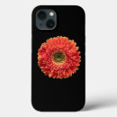 Search for orange gerbera iphone cases Nature