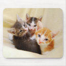 Search for trio mousepads Cats
