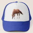 Search for amish accessories Horse