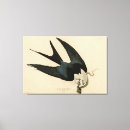 Search for kite canvas prints Bird