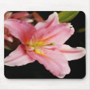 Search for stargazer mousepads Floral