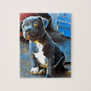 Search for staffordshire puzzles Terrier