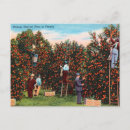 Search for time unit postcards Vintage