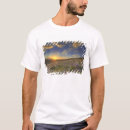 Search for vast tshirts Sunset