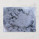 Search for flake postcards Silver