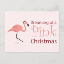 Search for flamingo beach postcards Bird