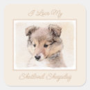 Search for shetland sheepdog stickers Puppy