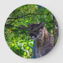 Search for lion design art Wildlife