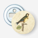 Search for perching bird Animal