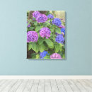 Search for hydrangea canvas prints Botanical
