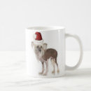 Search for chinese crested dog mugs Puppies