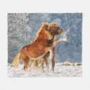 Search for snow photo blankets Funny