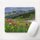 Search for flowers in the clouds electronics Beauty