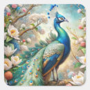 Search for cute peacock stickers Bird