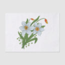 Search for yellow daffodil tissue paper Narcissus