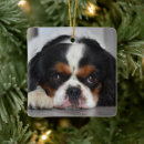 Search for puppies christmas tree decorations Doggy