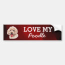Search for poodle bumper stickers Car