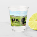 Search for cow shot glasses Scottish