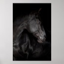 Search for black horse posters Country