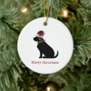 Search for lab christmas tree decorations Festive