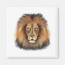 Search for realist magnets Cat