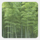 Search for bamboo stickers Japan