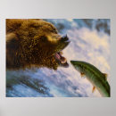 Search for grizzly bear picture posters Image