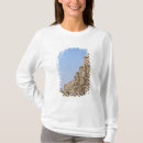 Search for jain tshirts Architecture