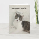 Search for cute kitty image cards Funny