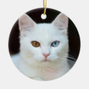 Search for white house christmas tree decorations Blue