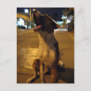 Search for pees postcards Dog