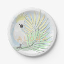 Search for parrot plates Cute