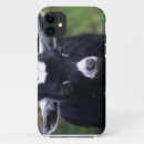 Search for cute sheep iphone cases Baby