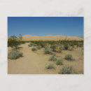 Search for mojave postcards Desert