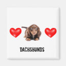 Search for dachshund photography Doxie