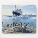 Search for group of animals mousepads Antarctica