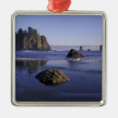 Search for olympic national park christmas tree decorations North america