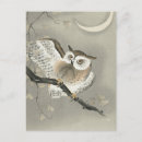 Search for ears postcards Owl