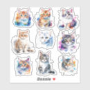 Search for air express stickers Cat lover