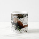 Search for red panda mugs Bear