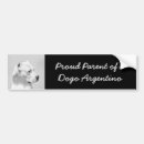Search for paintings bumper stickers White