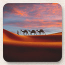 Search for camel barware Desert