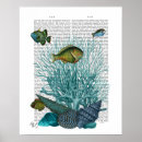 Search for marine life fish posters Sealife