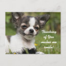 Search for thinking of you postcards Dog