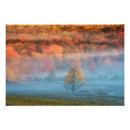 Search for misty posters Orange