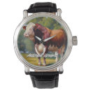 Search for cattle farming watches Bull