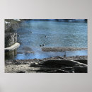 Search for tree roots posters Photography