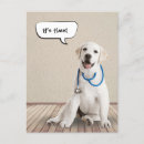 Search for labrador retriever postcards Dog