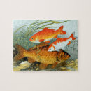 Search for carp puzzles Goldfish