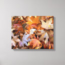 Search for season canvas prints Red